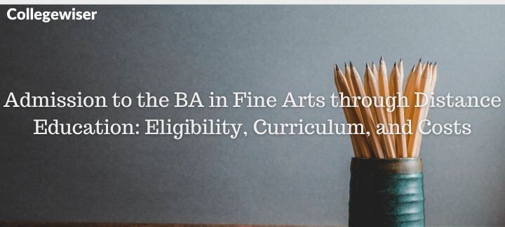 Admission to the BA in Fine Arts through Distance Education: Eligibility, Curriculum, and Costs  