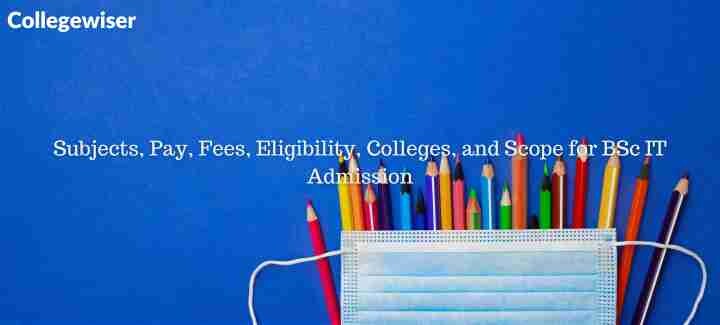Subjects, Pay, Fees, Eligibility, Colleges, and Scope for BSc IT Admission  