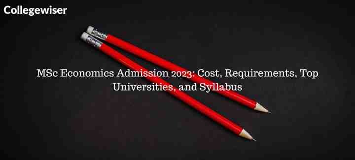 MSc Economics Admission: Cost, Requirements, Top Universities, and Syllabus  